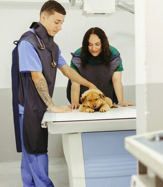 Caring Hands in Radiology A Gentle Approach to Pet Diagnostics