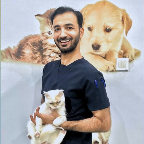 Dr. Haris Aziz