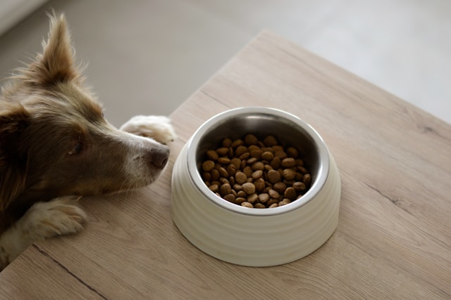 Mealtime Anticipation