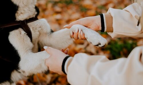 A Bond of Trust
