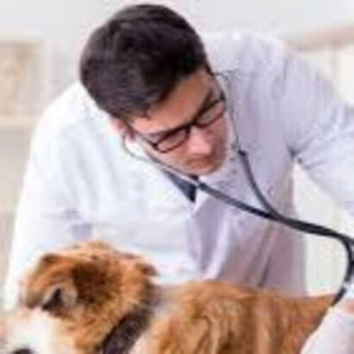 Dr. Shahid Zaman