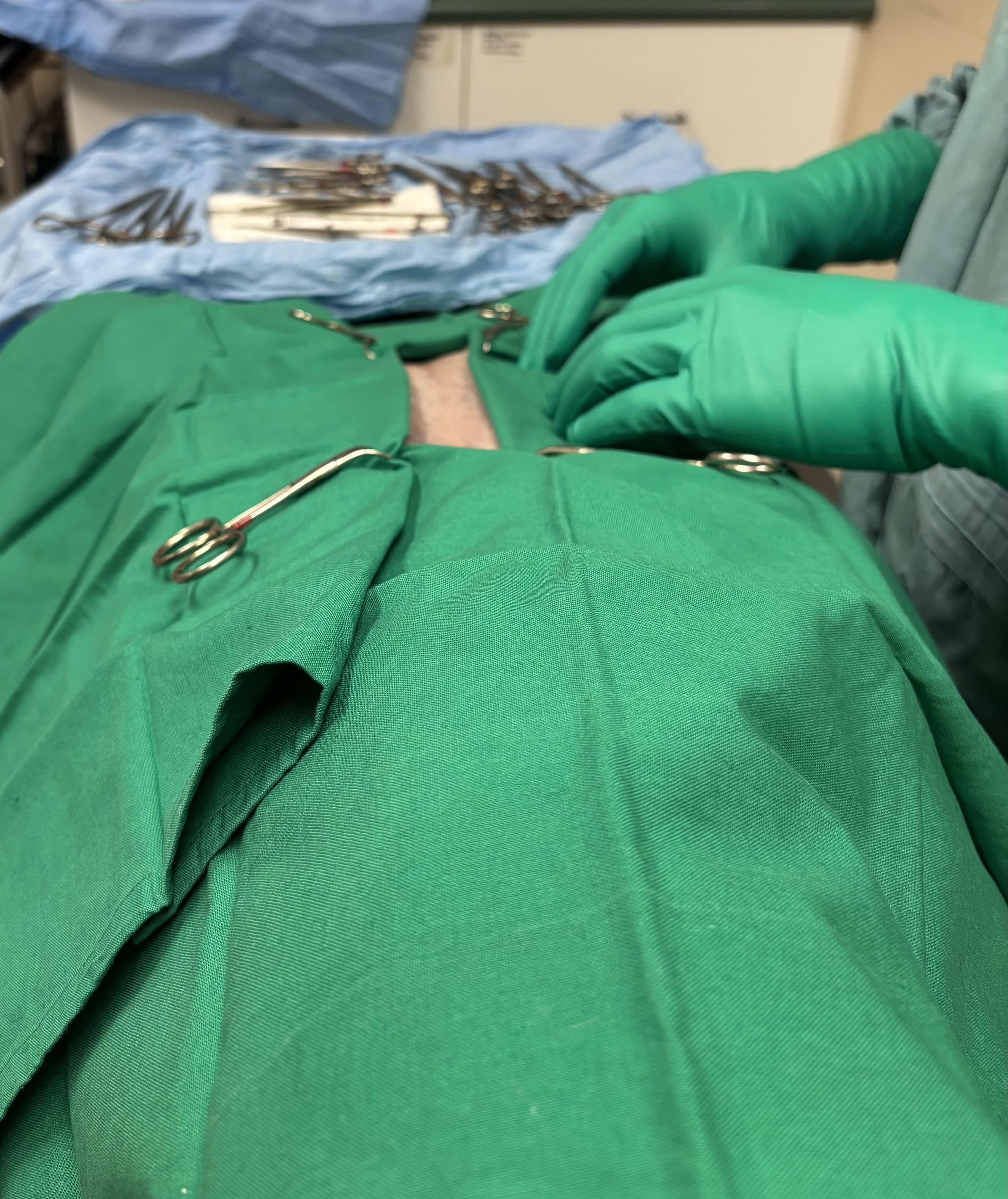 Dog Wearing Protective Collar at Vet Clinic