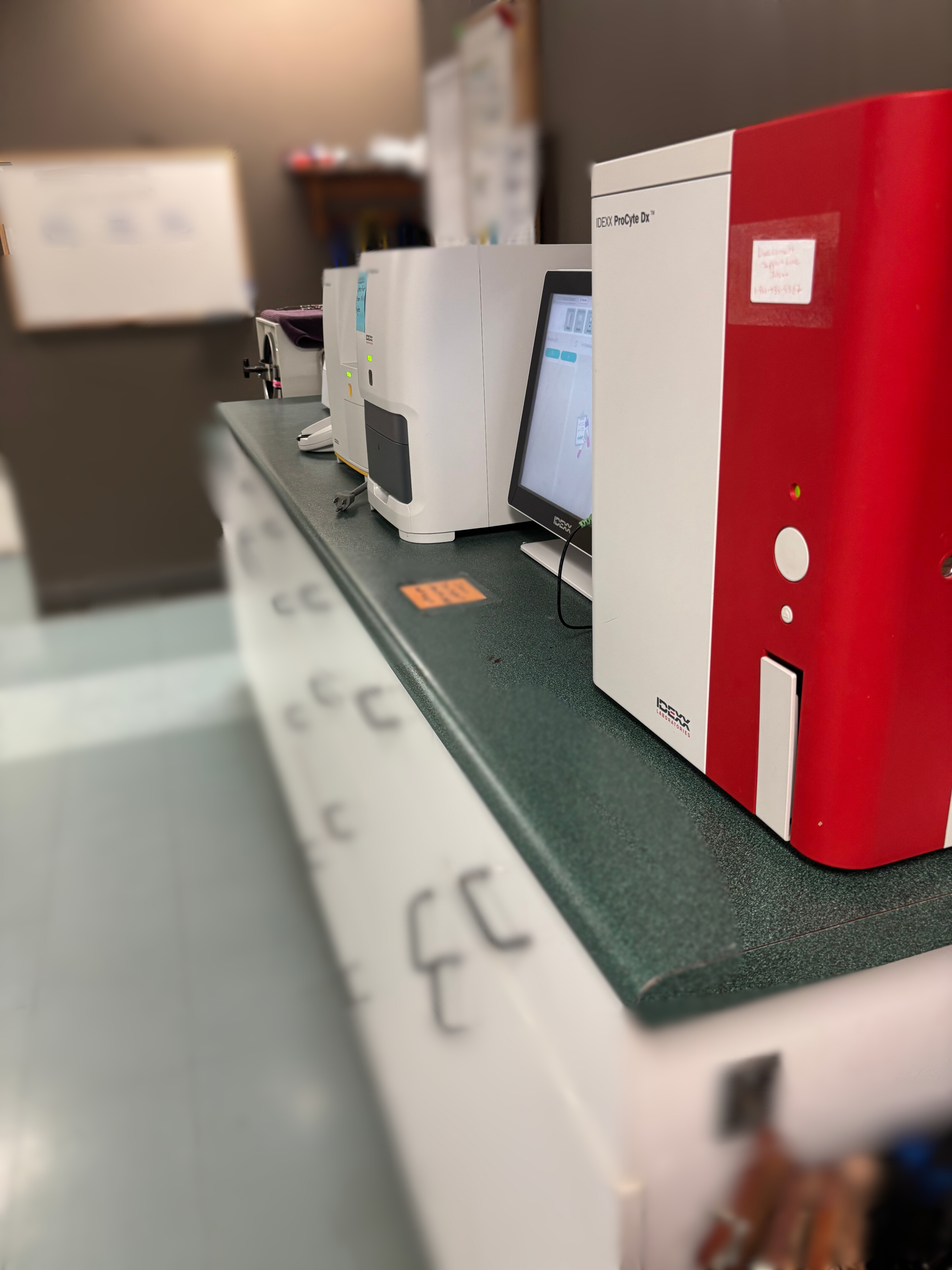 Untitled design (6) The Lab